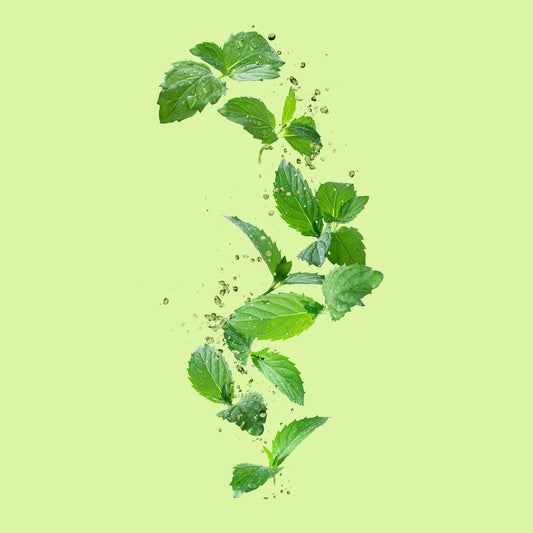 Single Herbs
