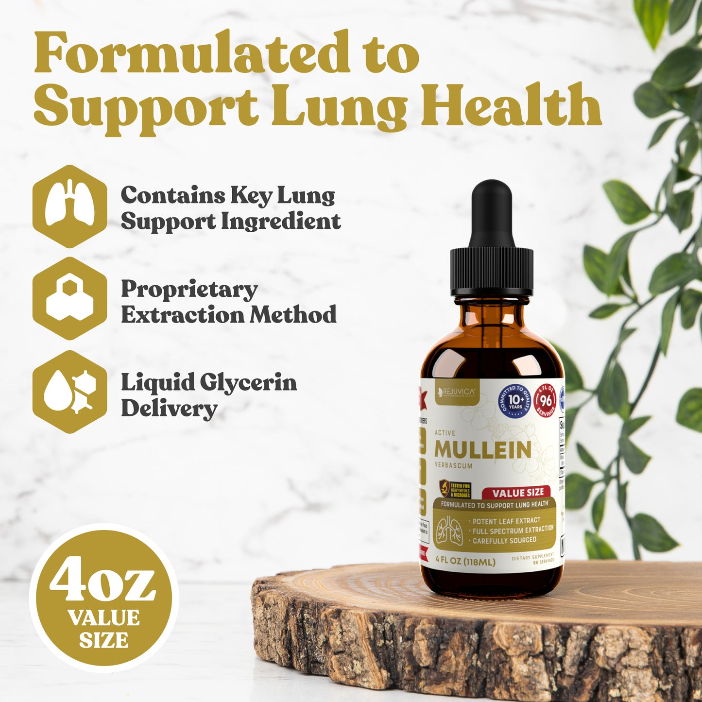 Active Mullein Value Size - Mullein Extract
