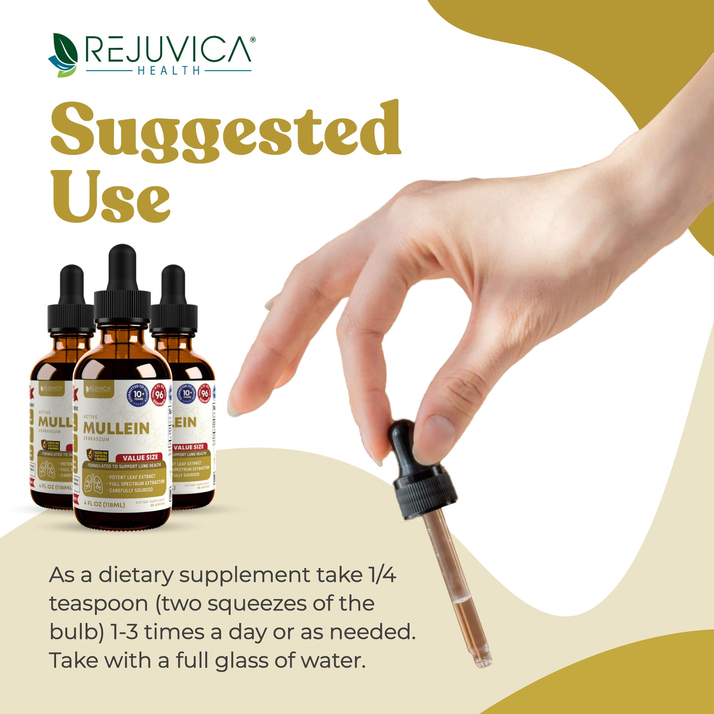 Active Mullein Value Size - Mullein Extract
