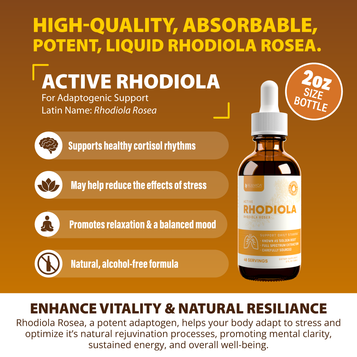 Active Rhodiola - Rhodiola Rosea