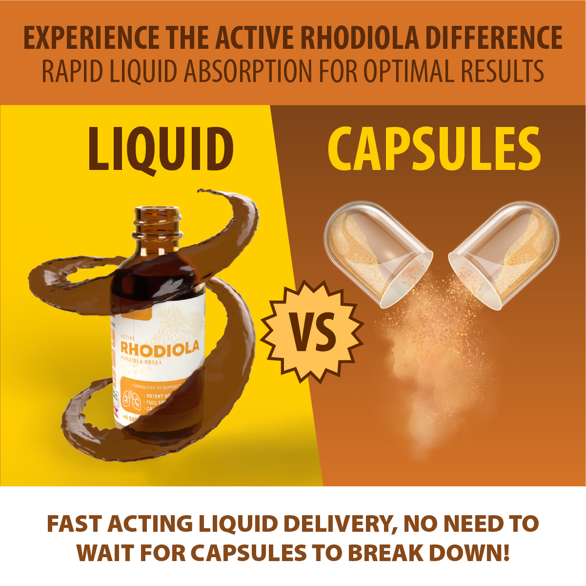 Active Rhodiola - Rhodiola Rosea
