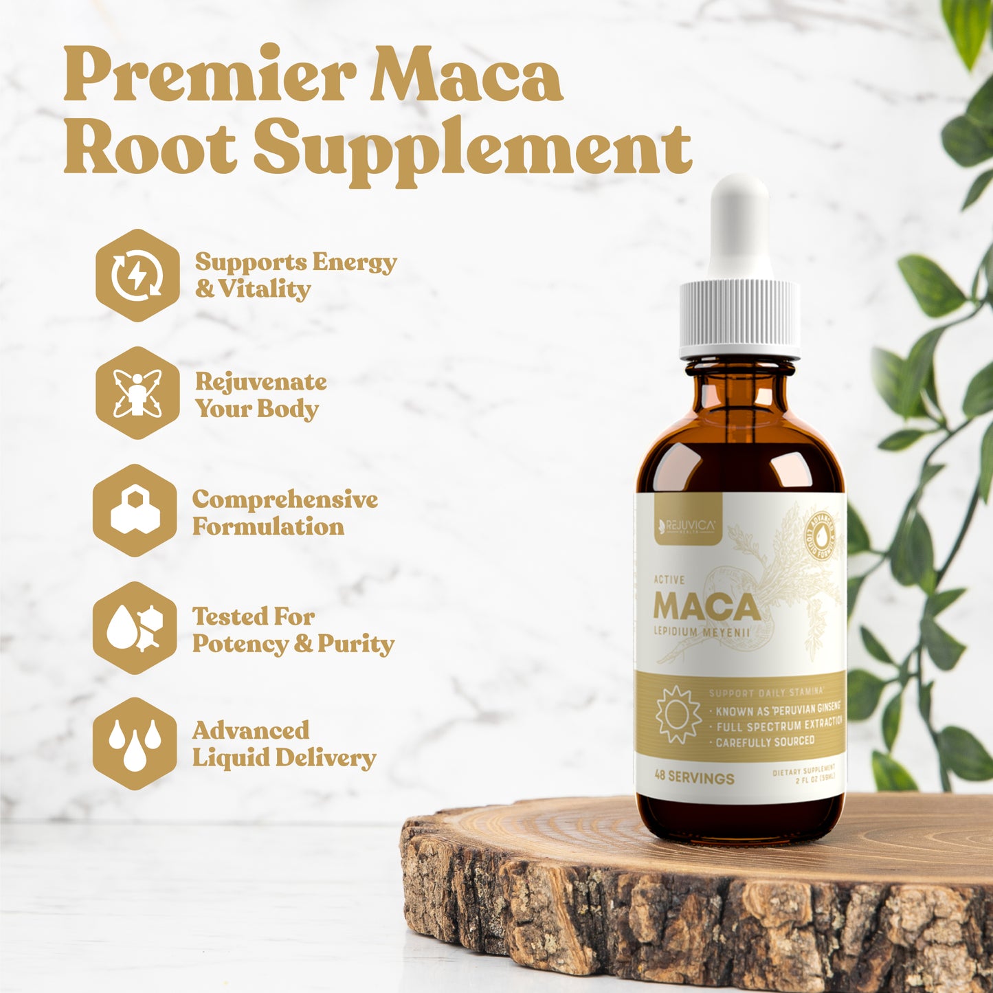 Active Maca - Maca Root Extract