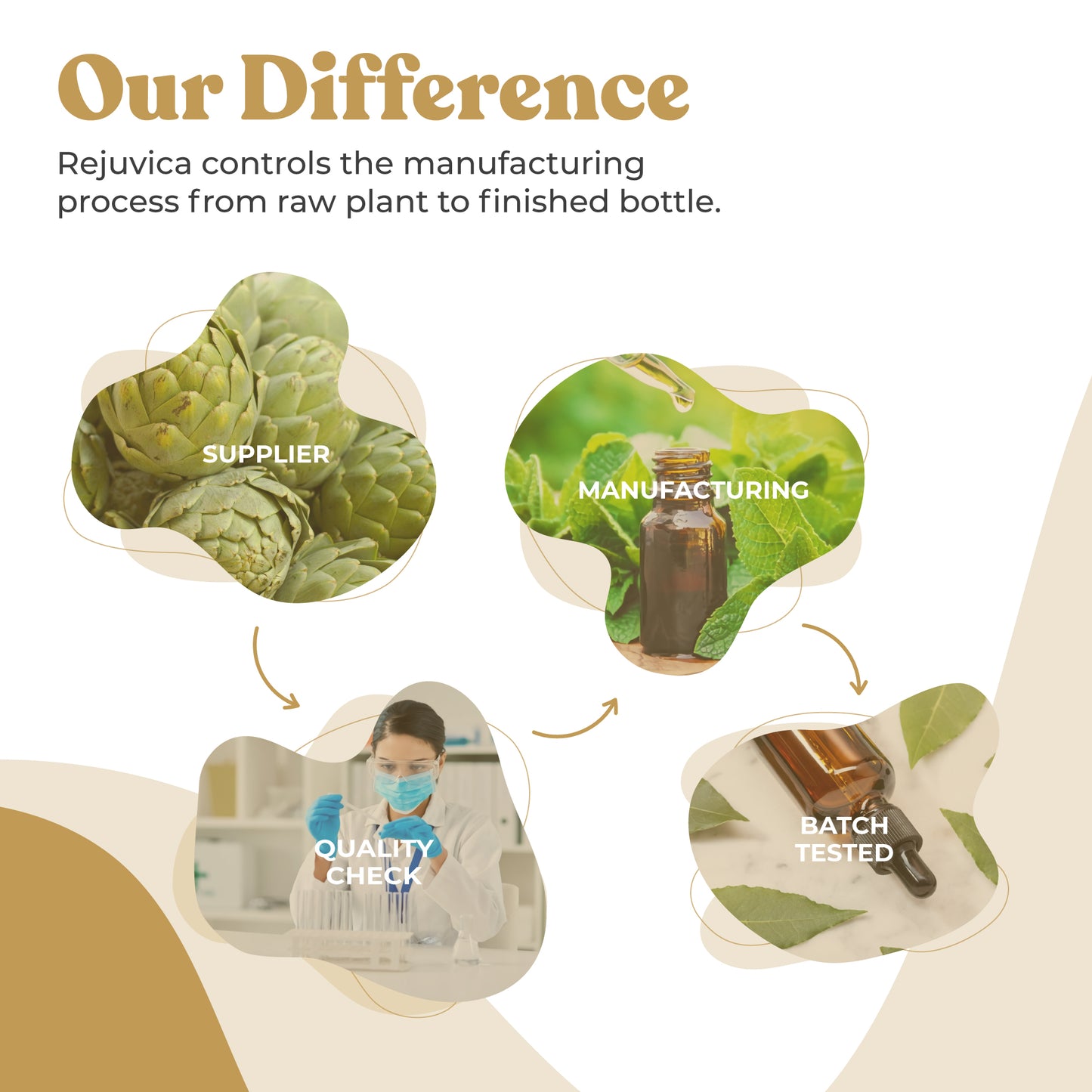 Active Maca - Maca Root Extract