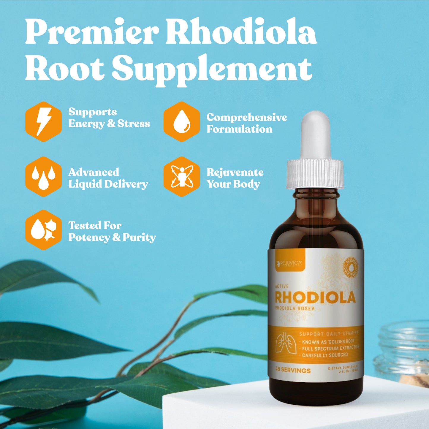 Active Rhodiola - Rhodiola Rosea