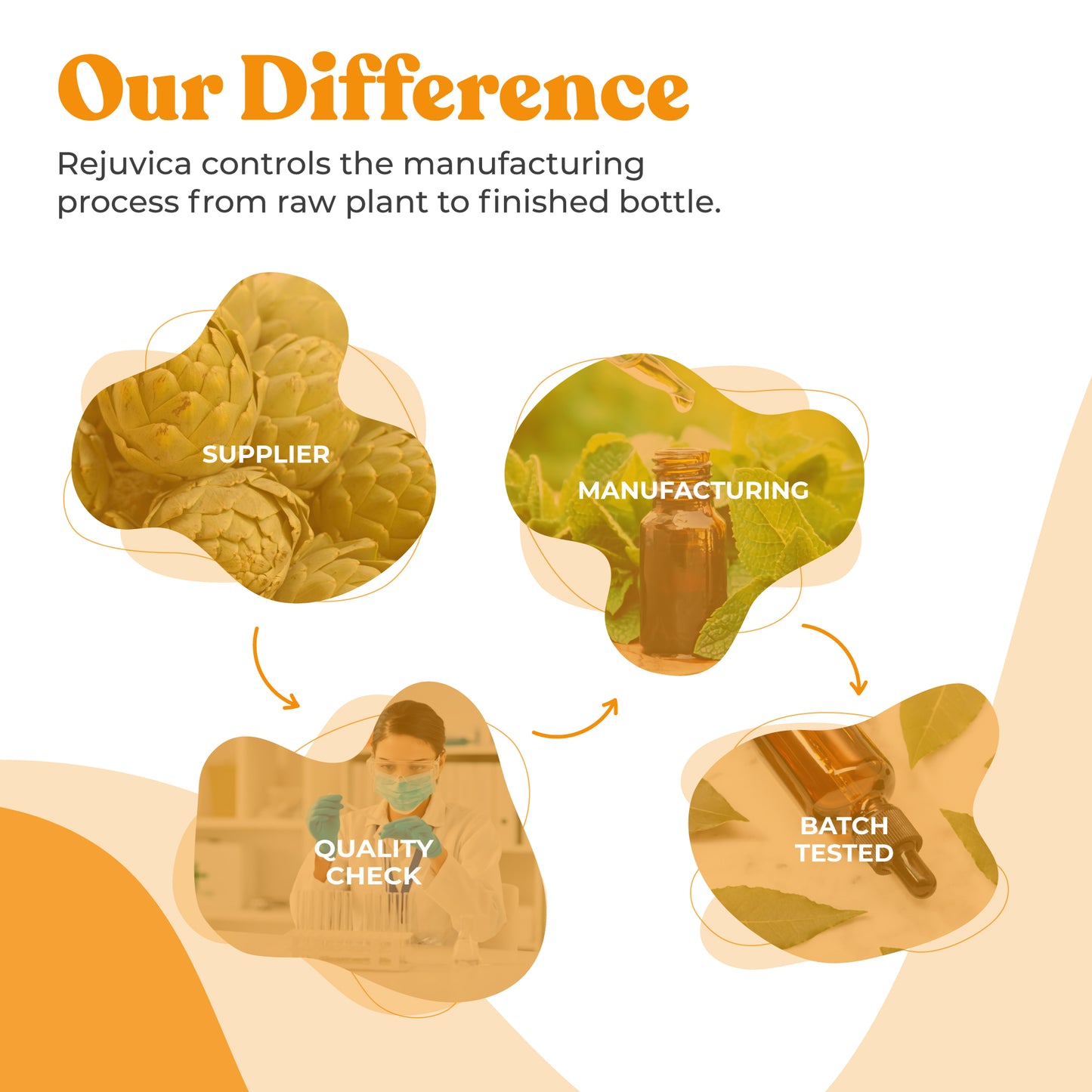 Active Rhodiola - Rhodiola Rosea