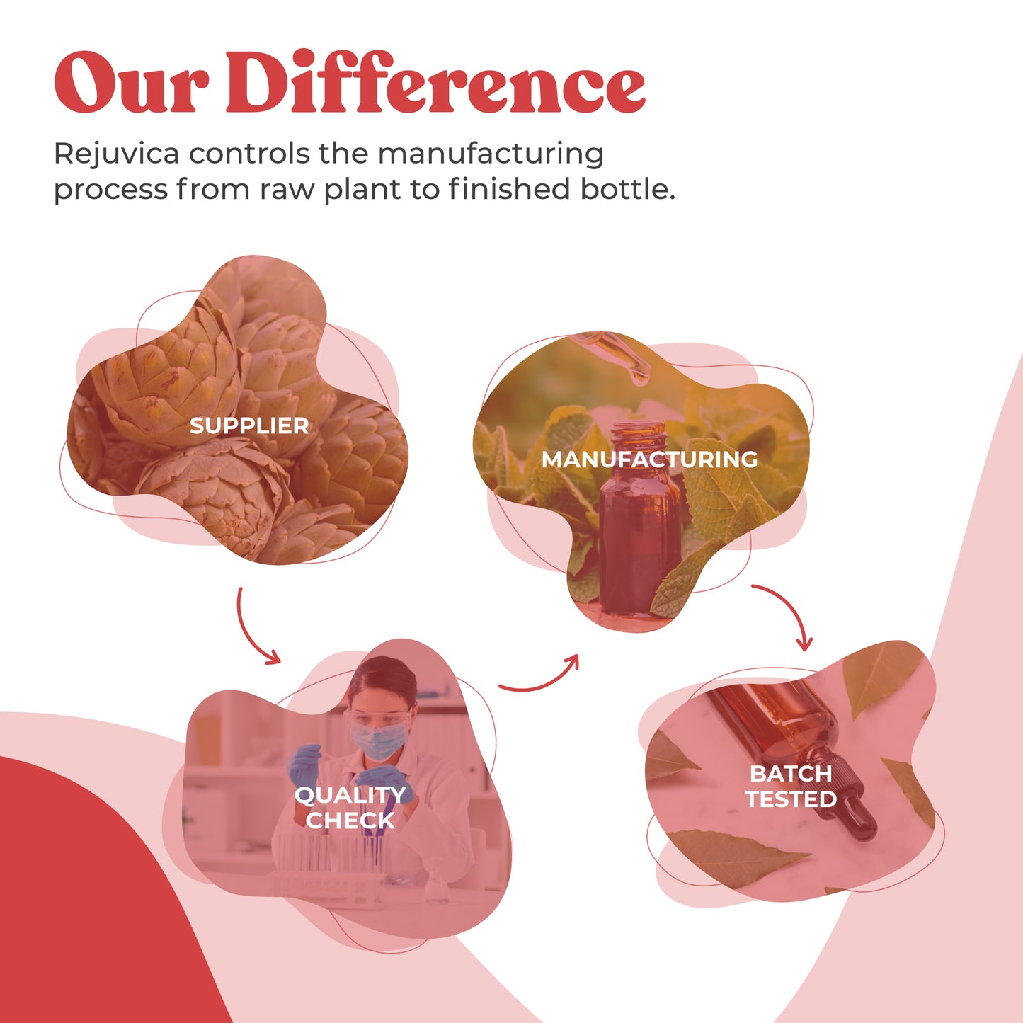 Active Olive Leaf - Olive Leaf Extract