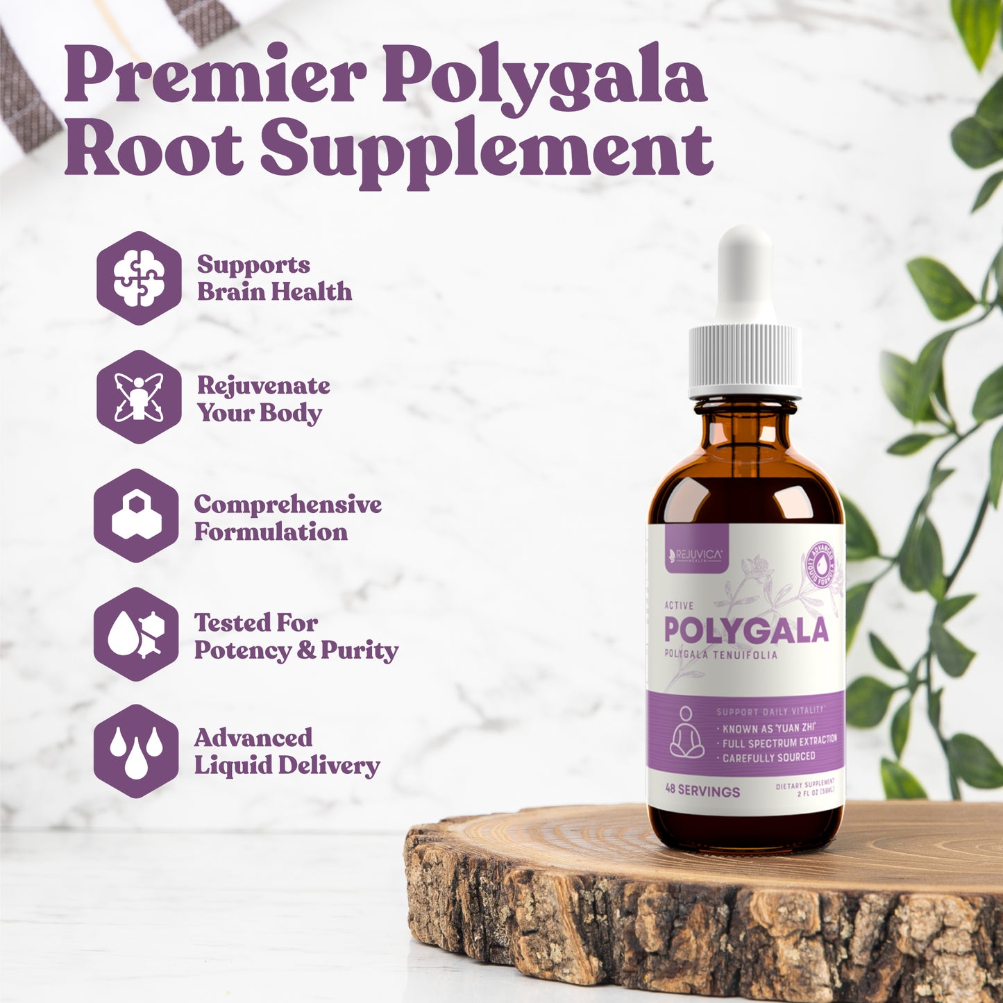 Active Polygala - Advanced Polygala Root Extract