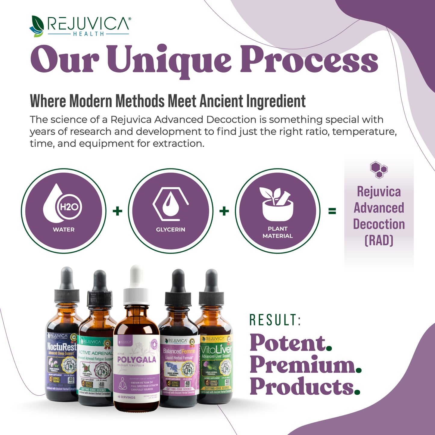 Active Polygala - Advanced Polygala Root Extract