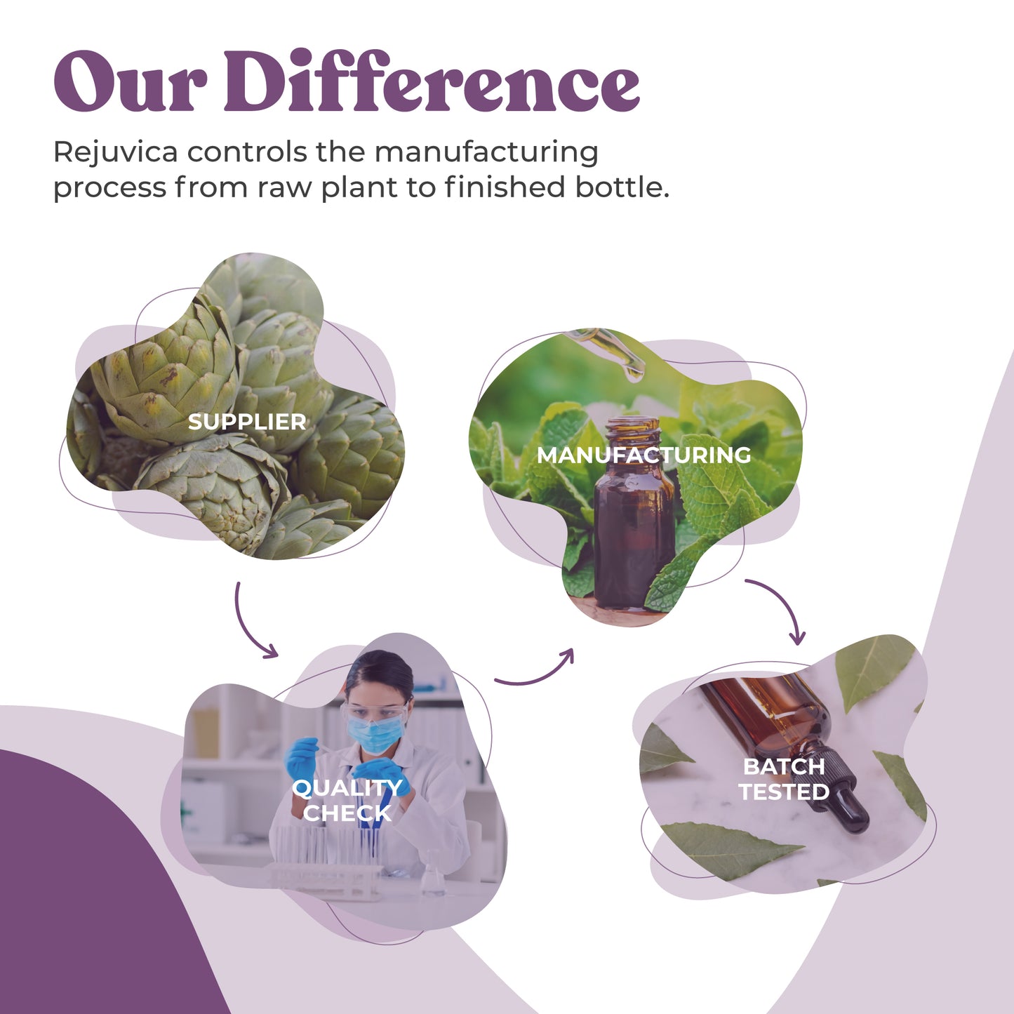 Active Polygala - Advanced Polygala Root Extract