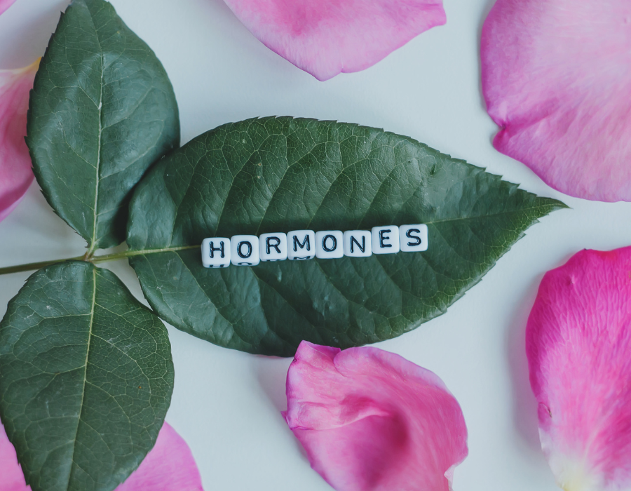 The Best Menstrual Phase Meals to Eat for Each Phase (and Why Your Hormones Need Them)