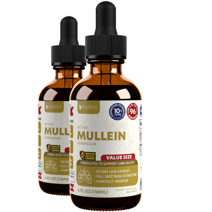 Active Mullein Value Size - Mullein Extract