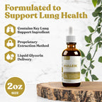 Active Mullein - Mullein Extract