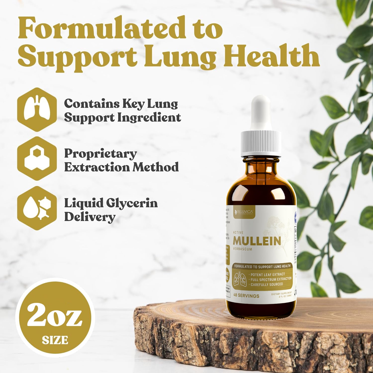 Active Mullein - Mullein Extract