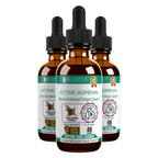 Active Adrenal - Advanced Adrenal Support Tincture