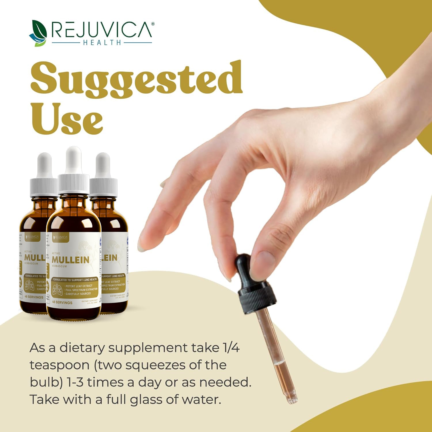 Active Mullein - Mullein Extract