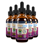 Bright Lungs - Advanced Lung Support Supplement