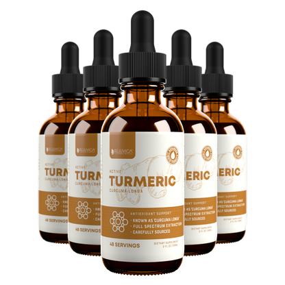 Active Turmeric - Turmeric Root Extract with Natural Curcumin