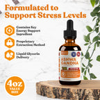 Active Ashwagandha Value Size - Ashwagandha Root Extract