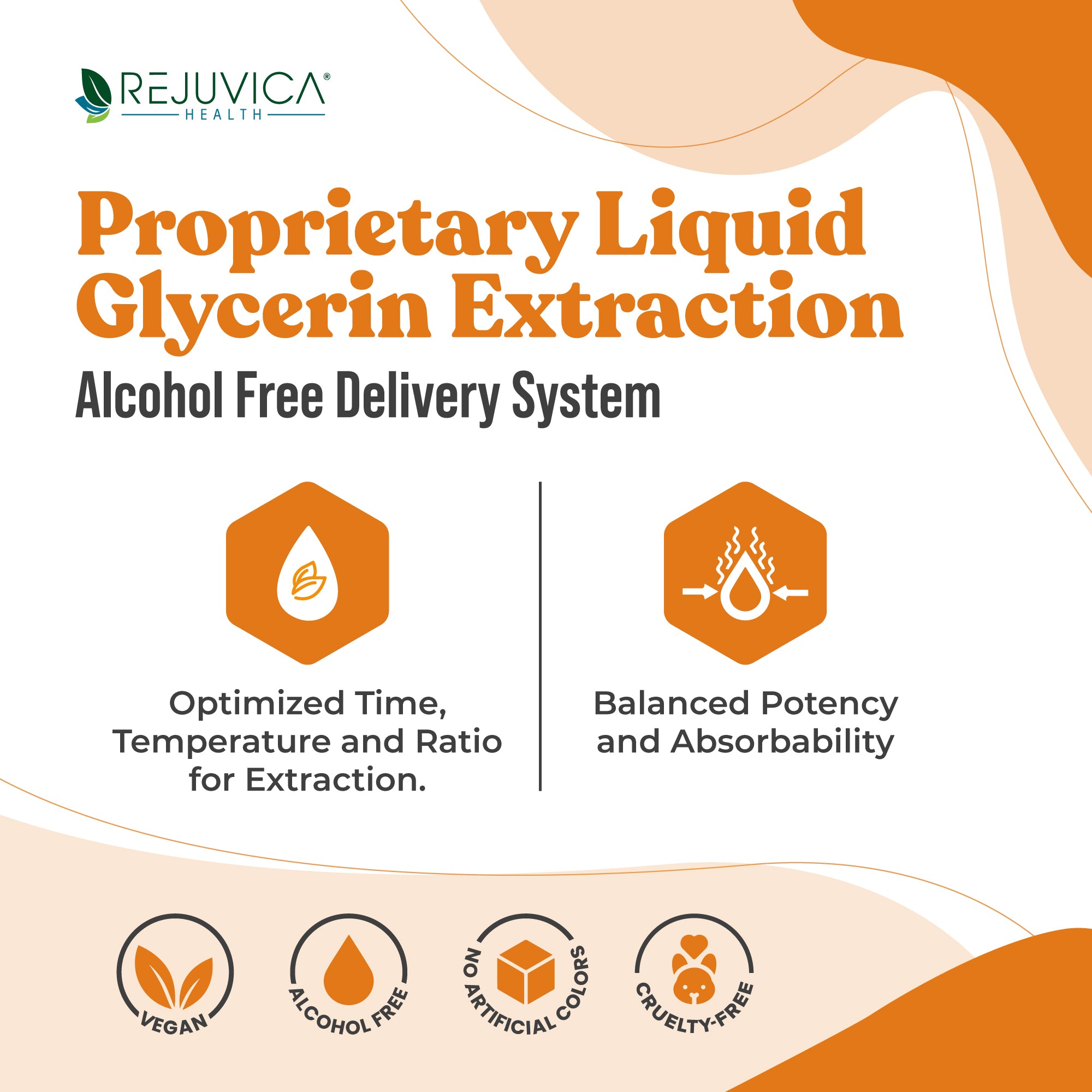 Active Ashwagandha Value Size - Ashwagandha Root Extract