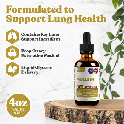 Active Mullein Value Size - Mullein Extract