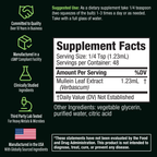 Active Mullein - Mullein Extract