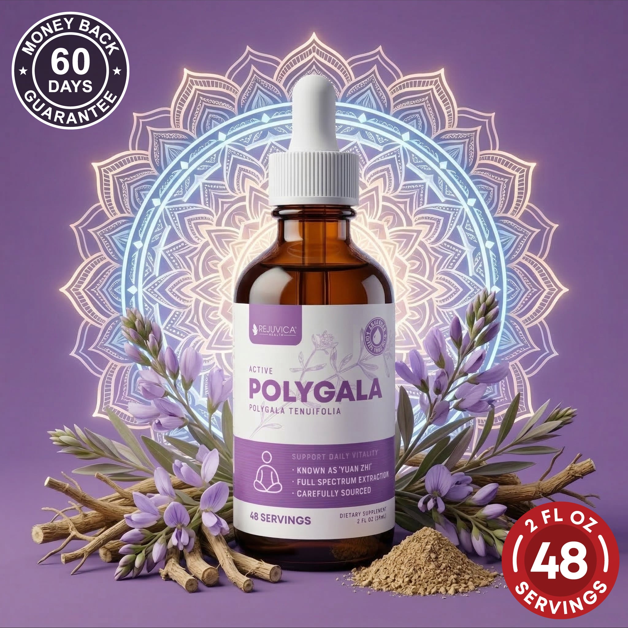Active Polygala - Advanced Polygala Root Extract – Rejuvica Health