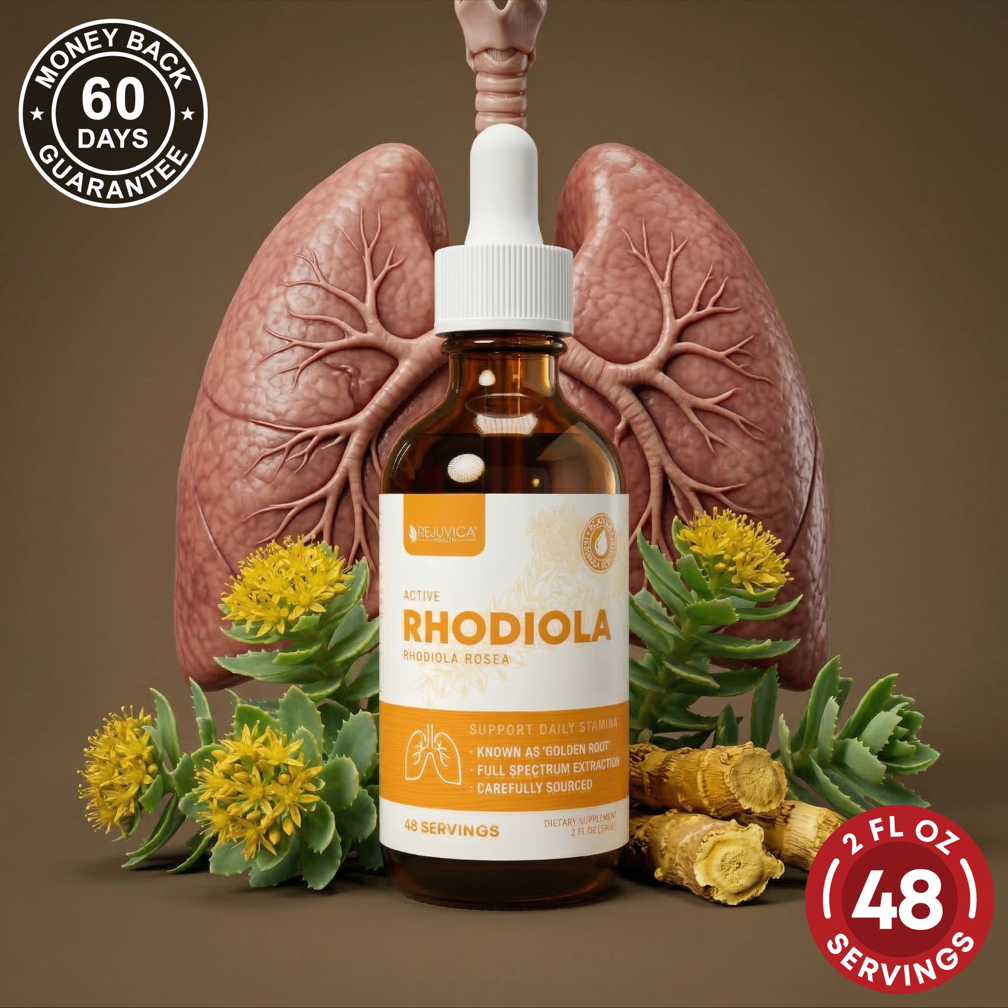 Active Rhodiola - Rhodiola Rosea