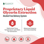 Ancient Pet Liver - Advanced Liver Support Supplement for Dogs