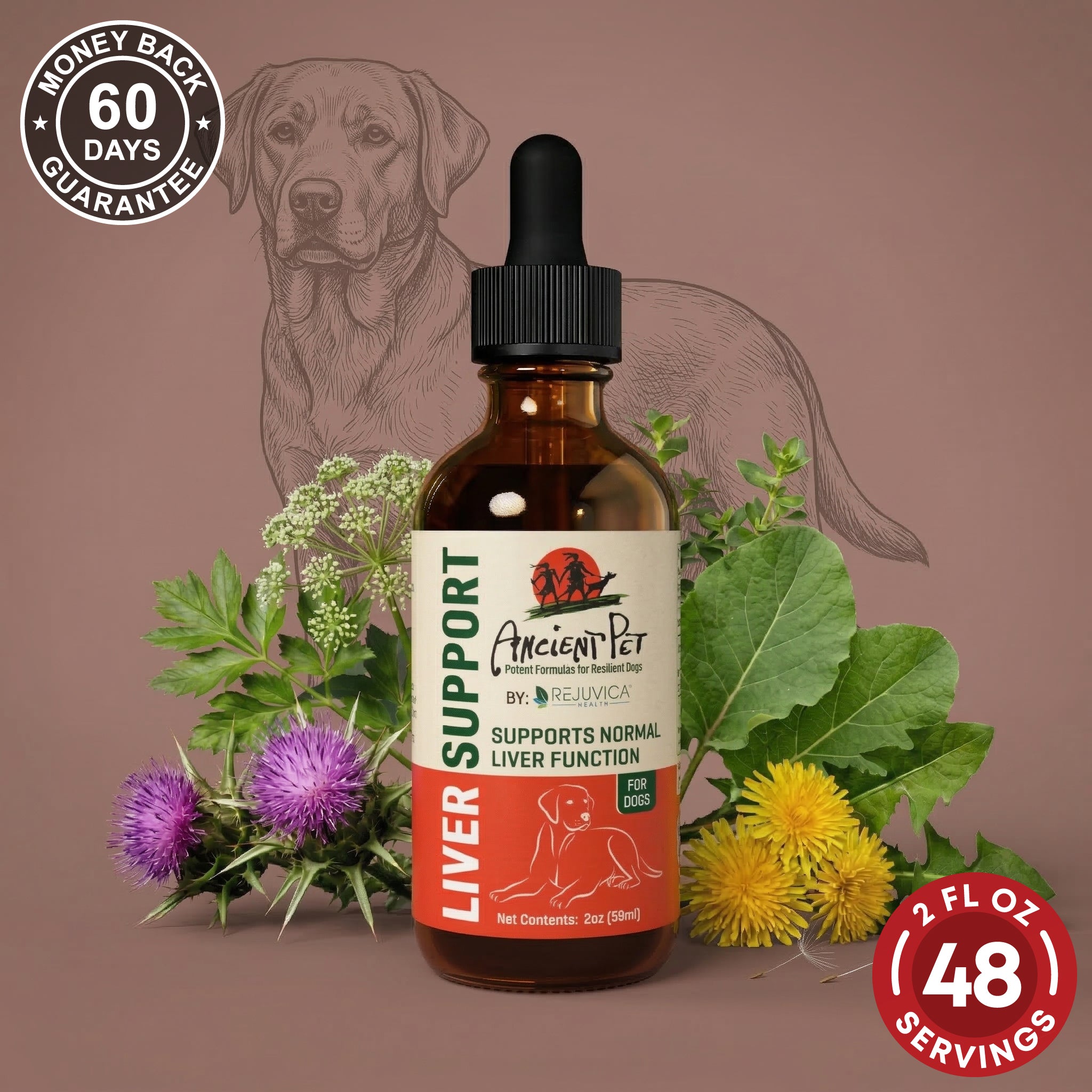 Ancient Pet Liver - Advanced Liver Support Supplement for Dogs