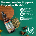 DigestaPro - Advanced Digestive Bitters Supplement