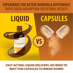 Active Rhodiola - Rhodiola Rosea