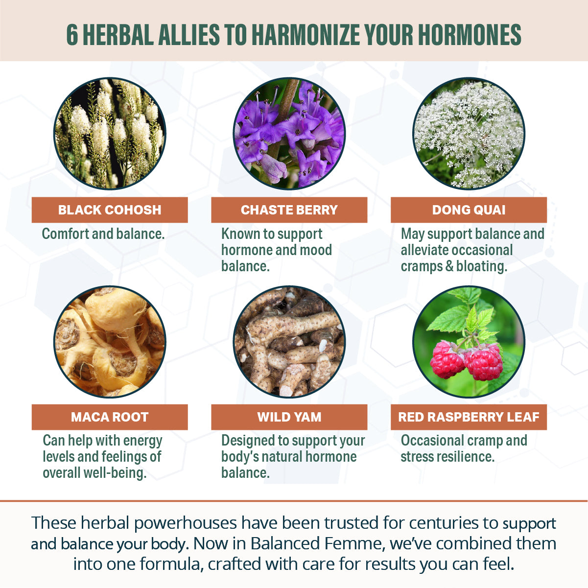 Balanced Femme - Advanced Female Balance Support Supplement