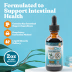 IntestiClear - Advanced Intestinal Support Supplement
