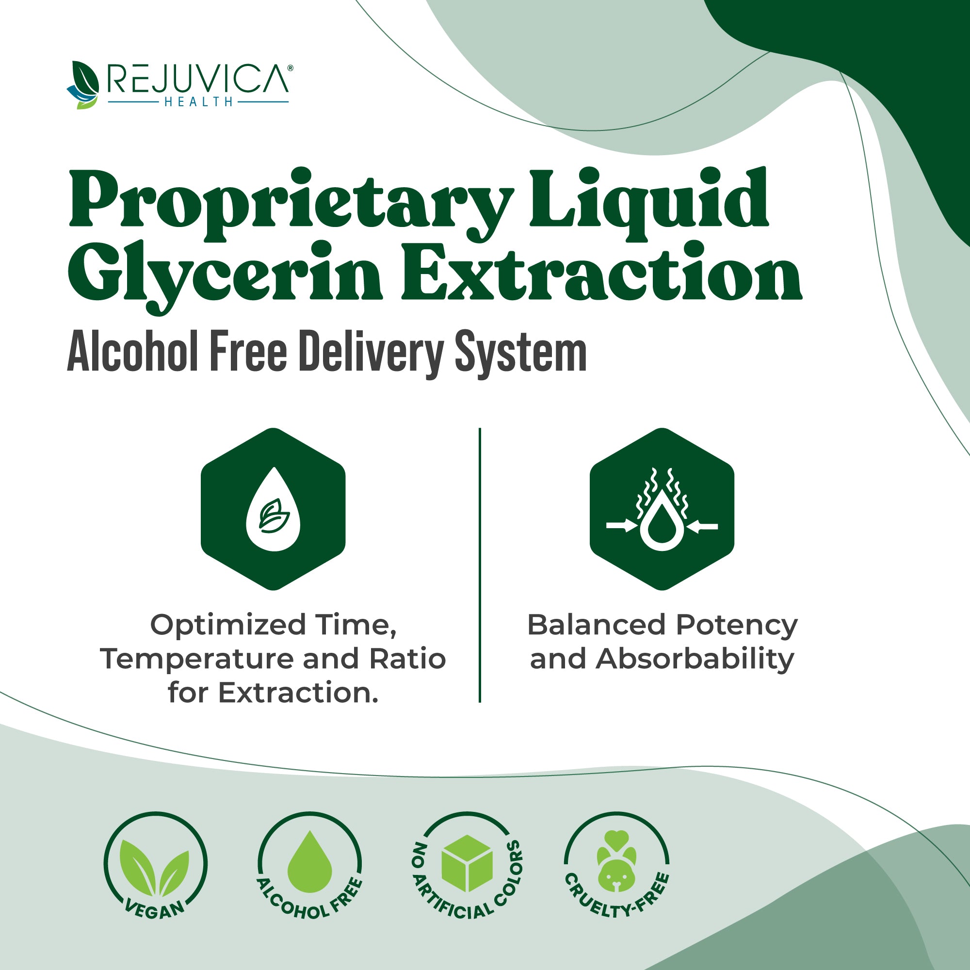 VitaLiver - Advanced Liver Support Supplement