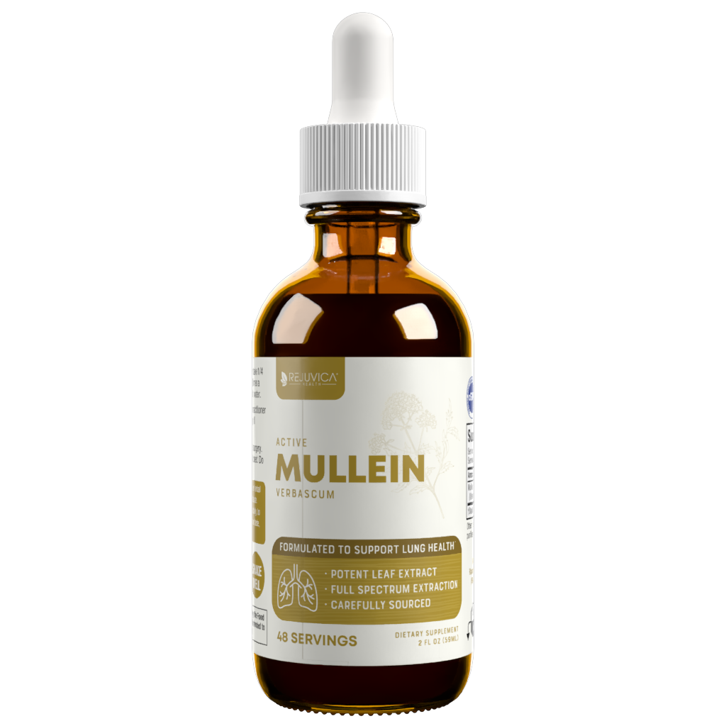 Active Mullein - Mullein Extract