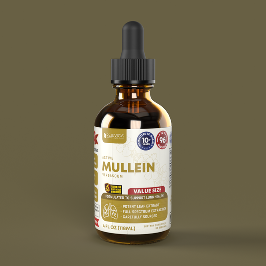 Active Mullein Value Size - Mullein Extract