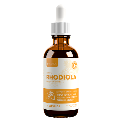 Active Rhodiola - Rhodiola Rosea