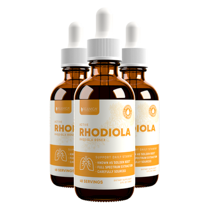 Active Rhodiola - Rhodiola Rosea