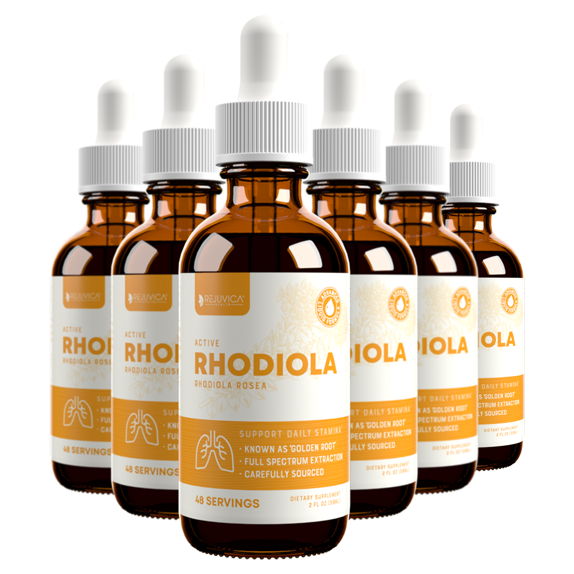 Active Rhodiola - Rhodiola Rosea