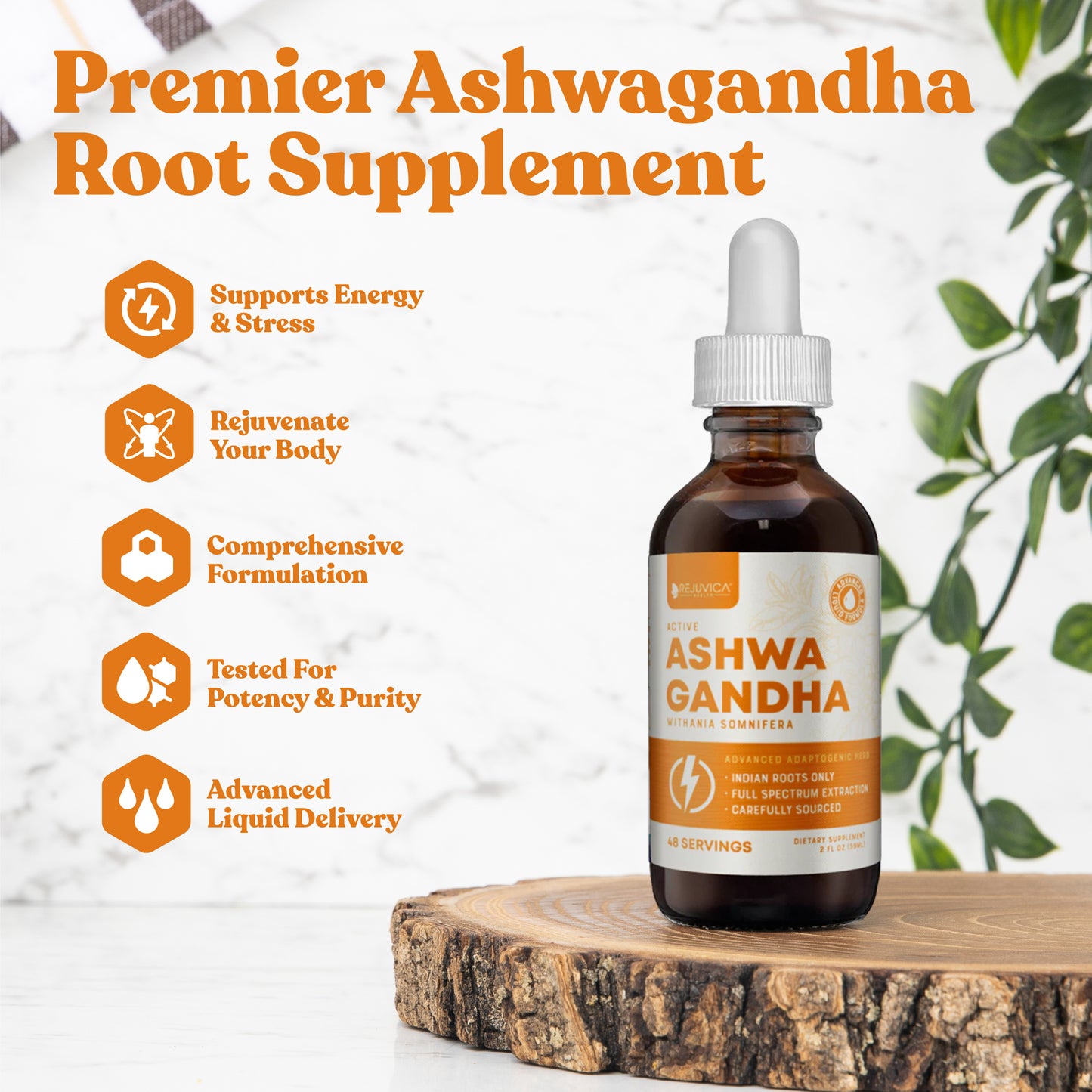 Active Ashwagandha - Ashwagandha Root Extract with Natural Withanolides