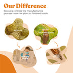 Active Ashwagandha - Ashwagandha Root Extract with Natural Withanolides