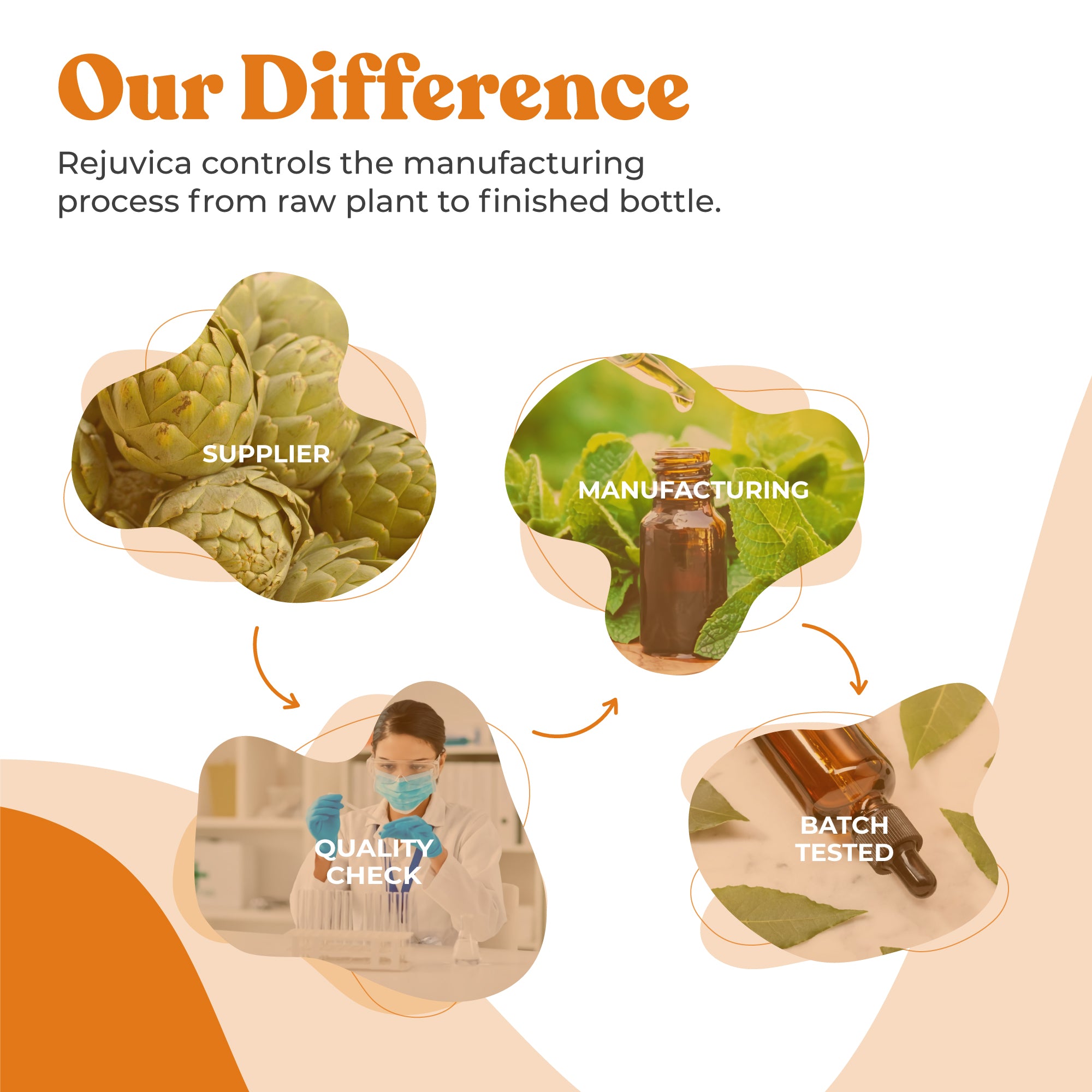 Active Ashwagandha - Ashwagandha Root Extract with Natural Withanolides