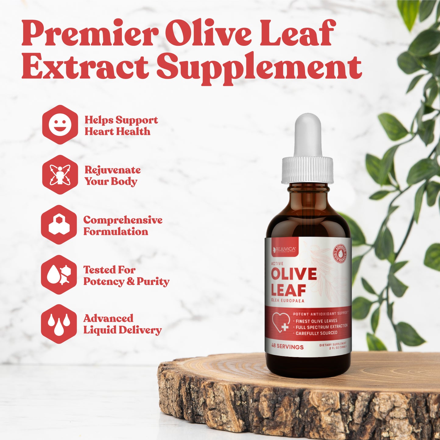 Active Olive Leaf - Olive Leaf Extract