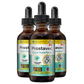 Prostavec - Advanced Prostate Support Supplement