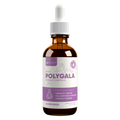 Active Polygala - Advanced Polygala Root Extract