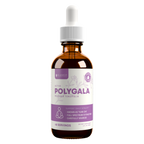 Active Polygala - Advanced Polygala Root Extract