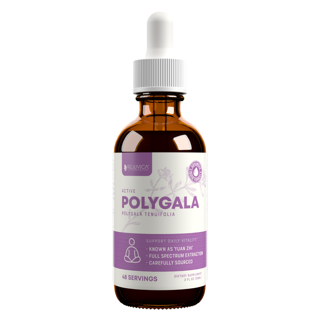 Active Polygala - Advanced Polygala Root Extract