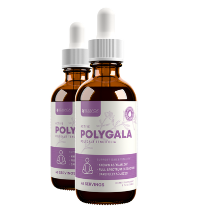 Active Polygala - Advanced Polygala Root Extract