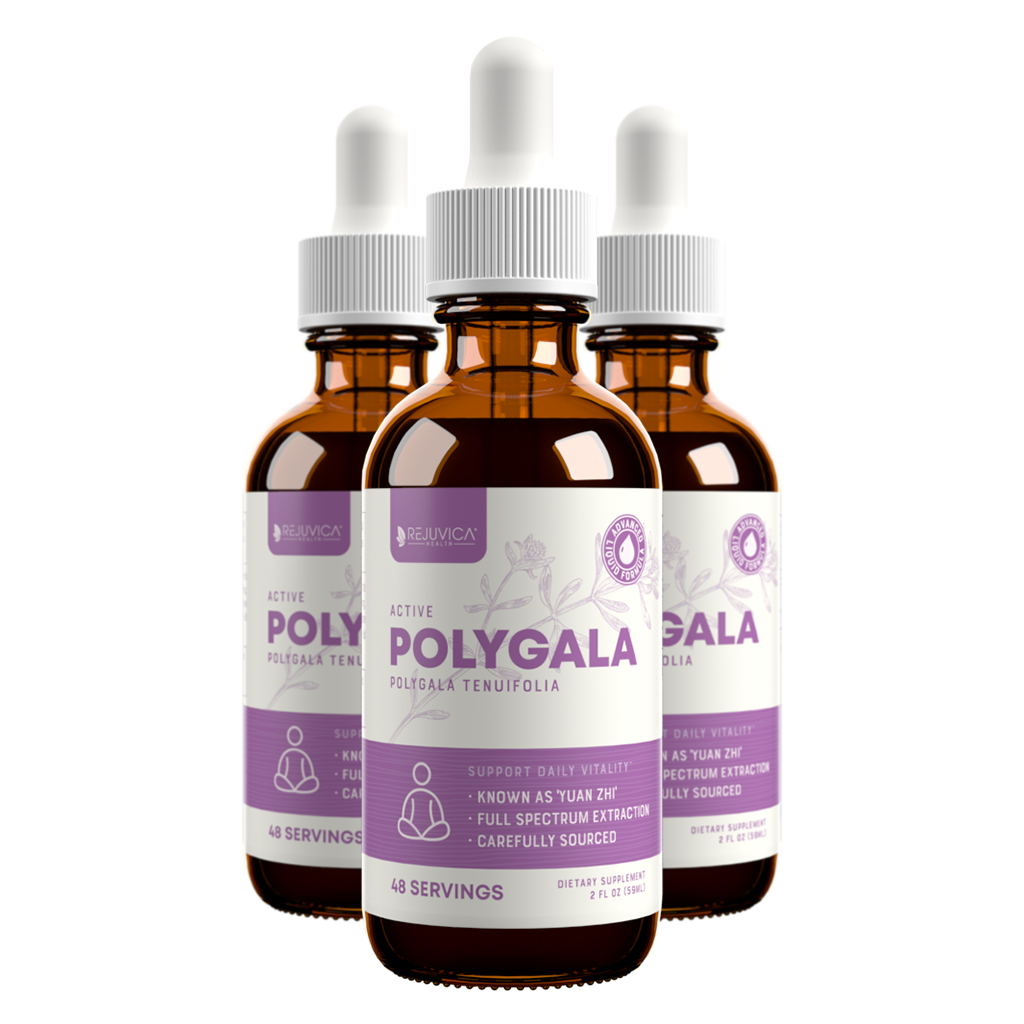 Active Polygala - Advanced Polygala Root Extract