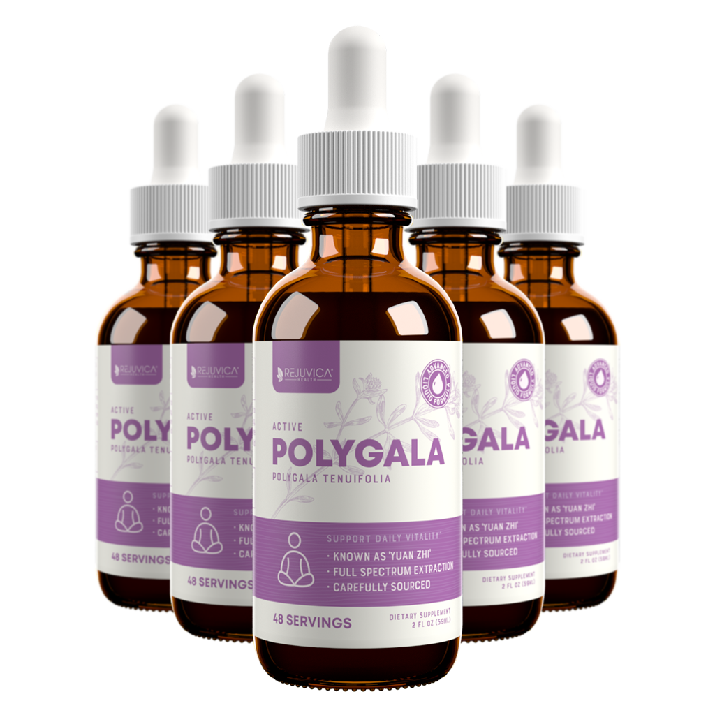 Active Polygala - Advanced Polygala Root Extract